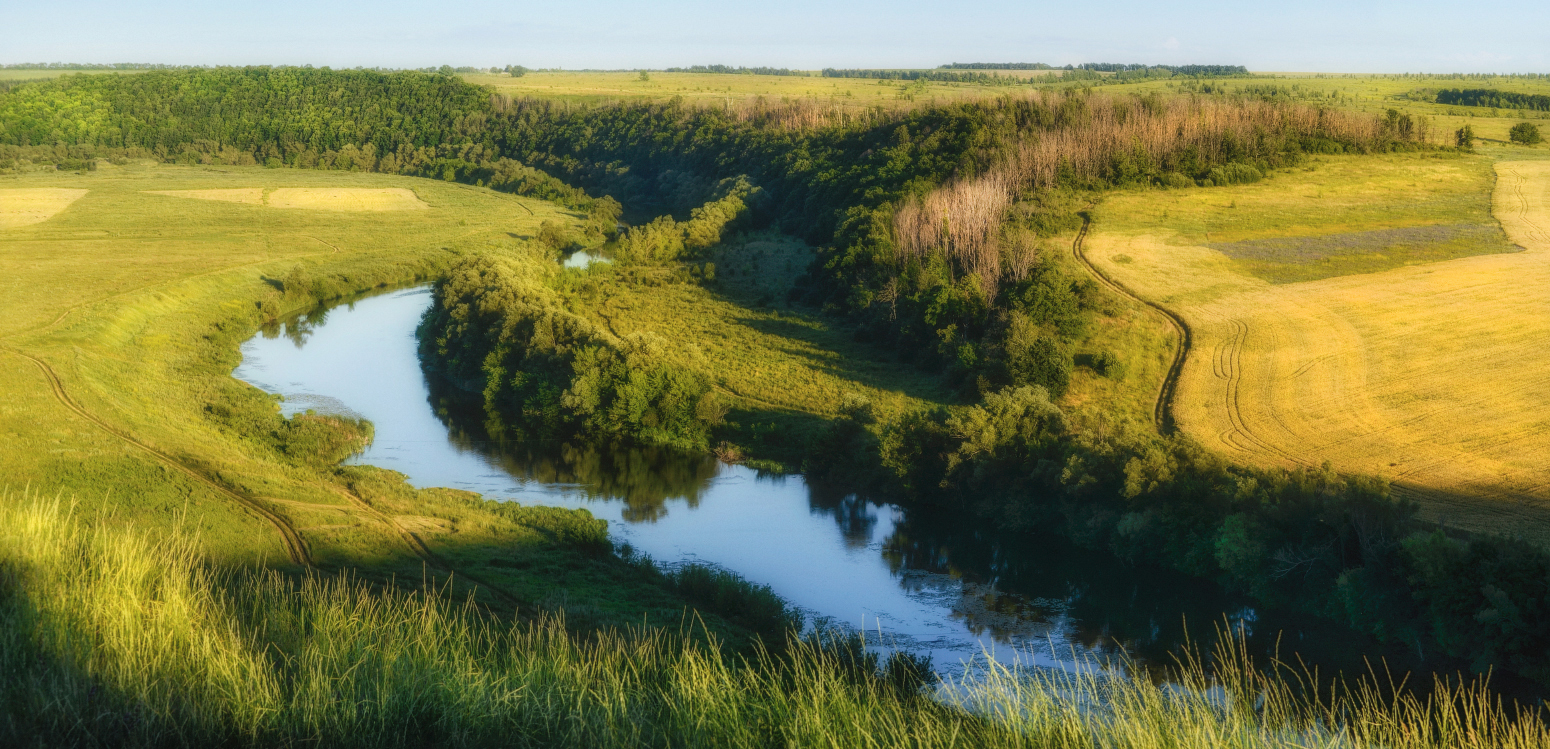 Какая рыба водится в Тульской области?