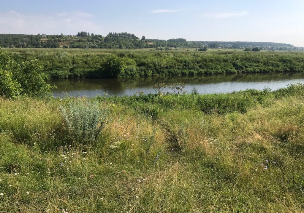 река Упа в селе Фёдоровка